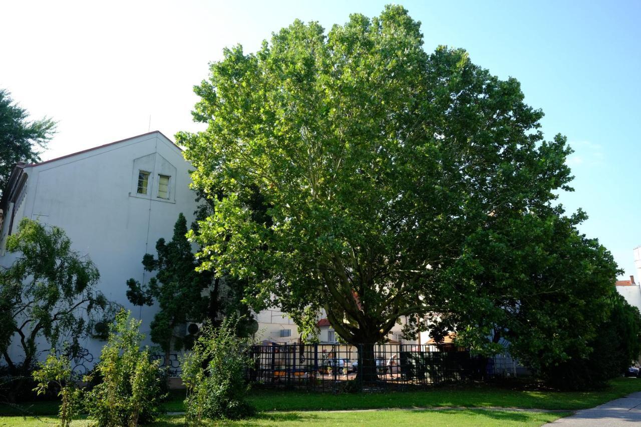 Leier Apartments Pöstyén Kültér fotó